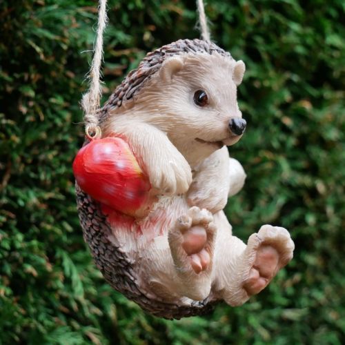 Hanging Hedgehog on Mushroom