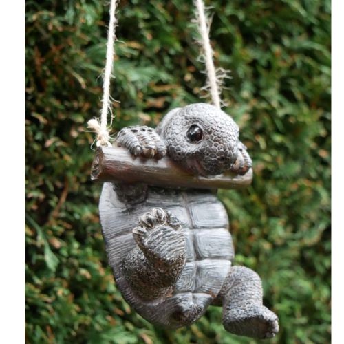 Hanging Tortoise on Log