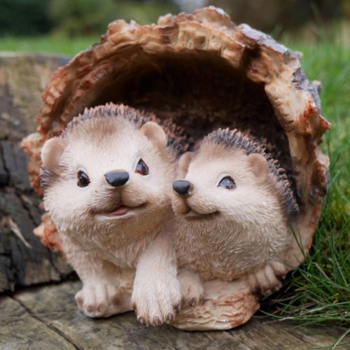 Hedgehogs in Log